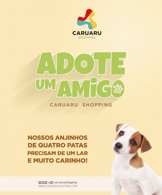 Adote um Amigo_Divulgação